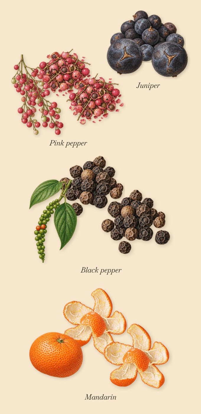 Irish Leather, when you spray it: Black pepper, Mandarin, Juniper, Pink pepper