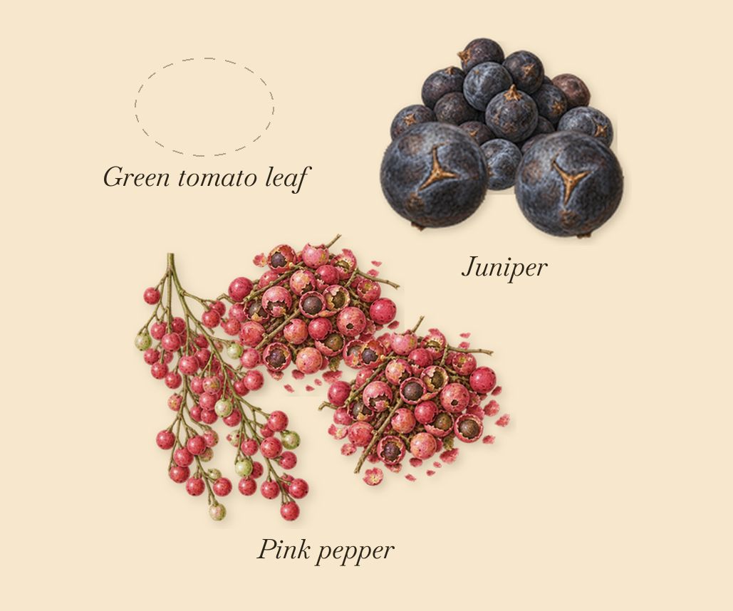 Italian Leather, when you spray it: Green tomato leaf, Juniper, Pink pepper