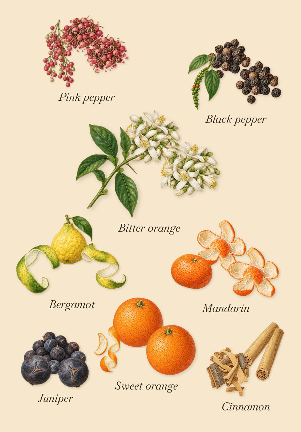 Ithaque, when you spray it: Bergamot, Sweet orange, Black pepper, Juniper, Cinnamon, Bitter orange, Mandarin, Pink pepper