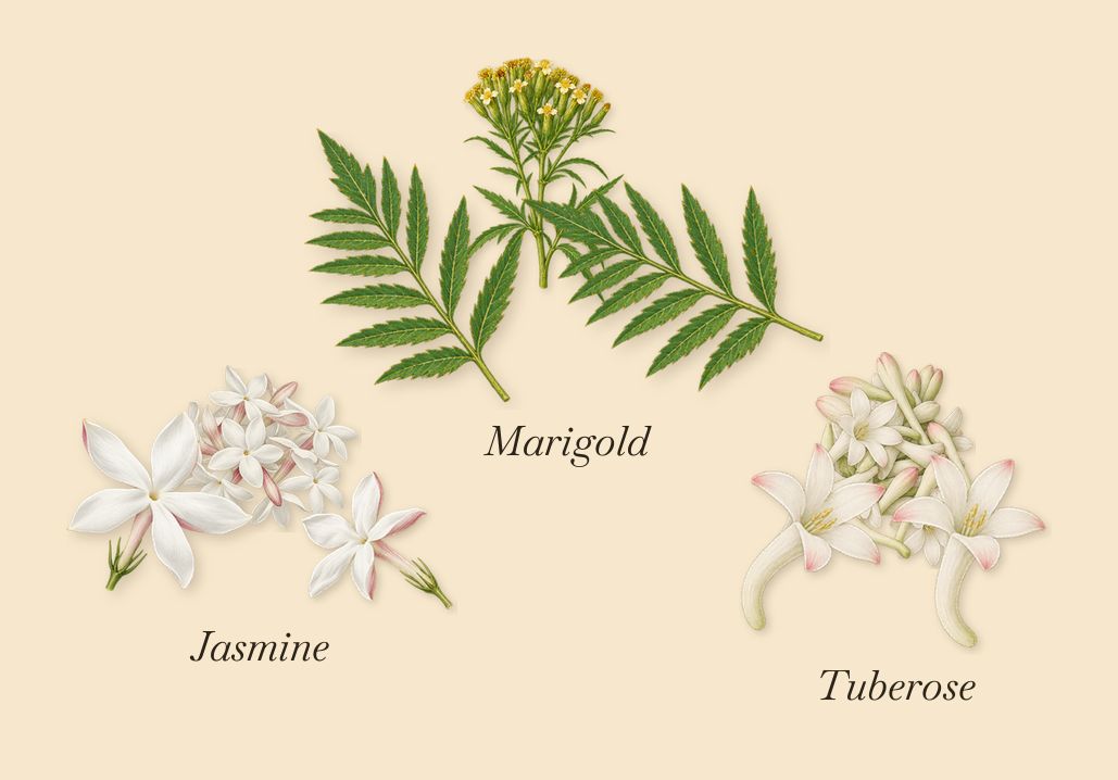Madurai, as it settles: Jasmine, Tuberose, Marigold