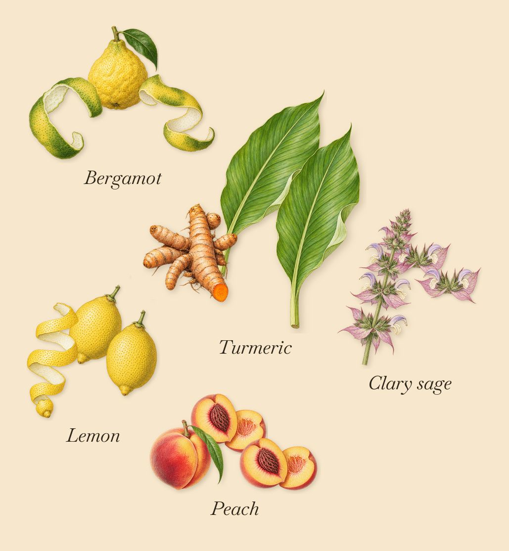 Madurai, when you spray it: Lemon, Bergamot, Turmeric, Clary sage, Peach