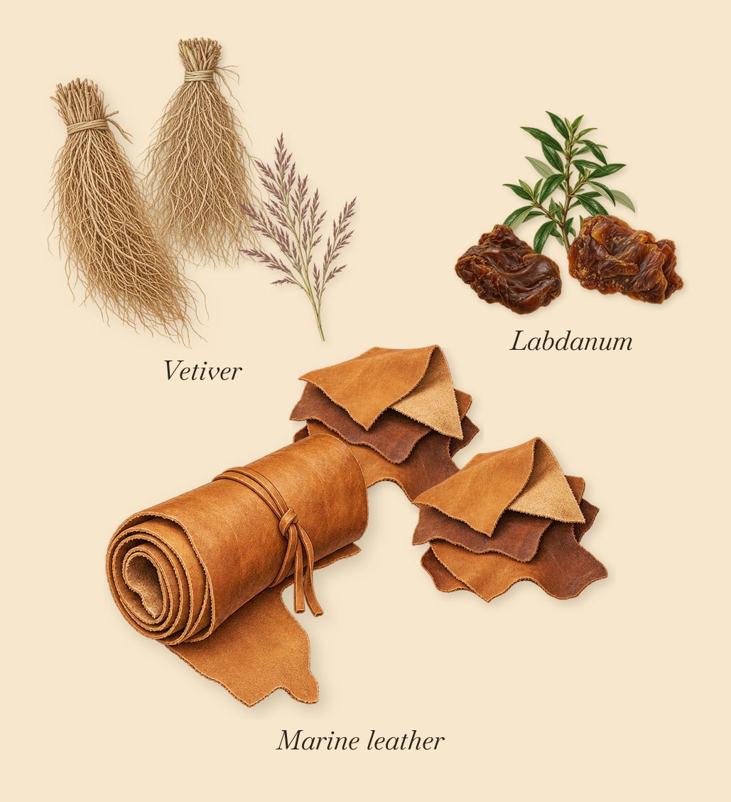 Ocean Leather, what stays: Vetiver, Marine leather, Labdanum