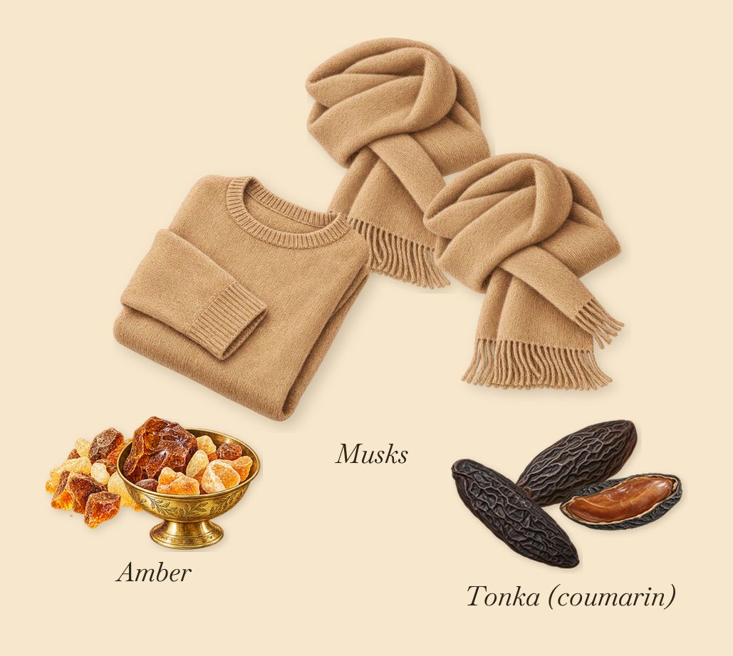 Odéon, what stays: Tonka (coumarin), Amber, Musks