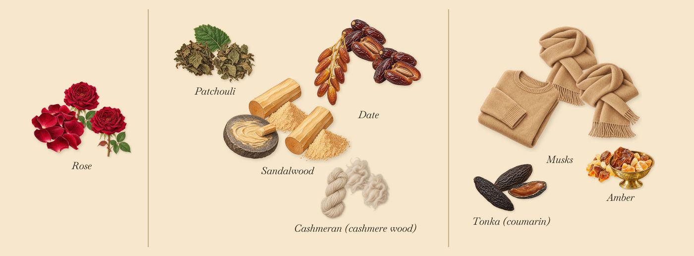 Odéon’s scent picture, a draft: rose, sandalwood, cashmeran (cashmere wood), patchouli, tonka (coumarin), amber drawn so far; dashed outlines where nothing is drawn yet