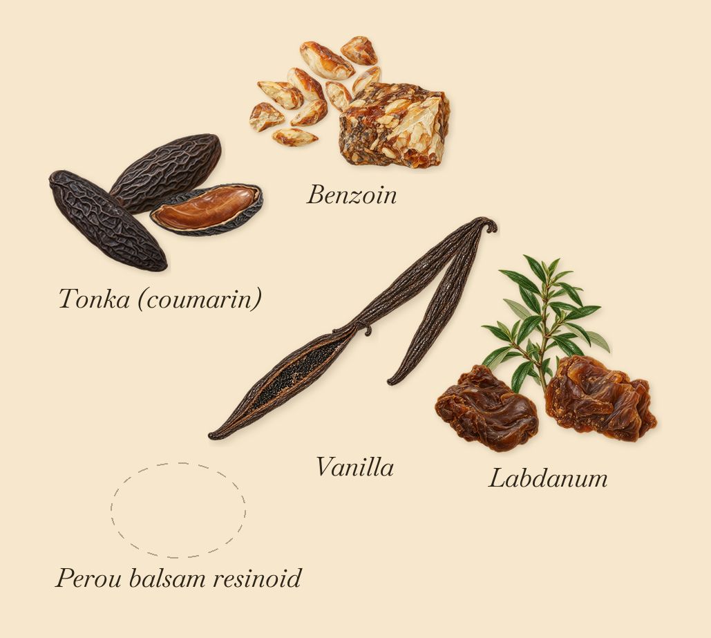 Palais Bourbon, as it settles: Perou balsam resinoid, Benzoin, Labdanum, Tonka (coumarin), Vanilla