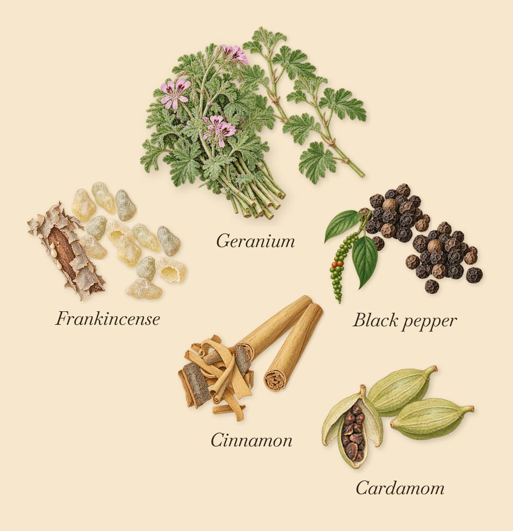 Palais Bourbon, when you spray it: Black pepper, Cardamom, Cinnamon, Frankincense, Geranium