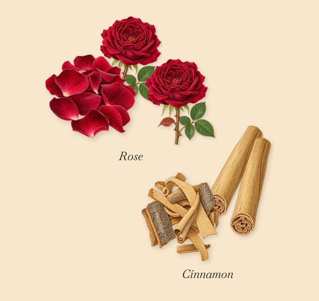 Sintra, as it settles: Cinnamon, Rose