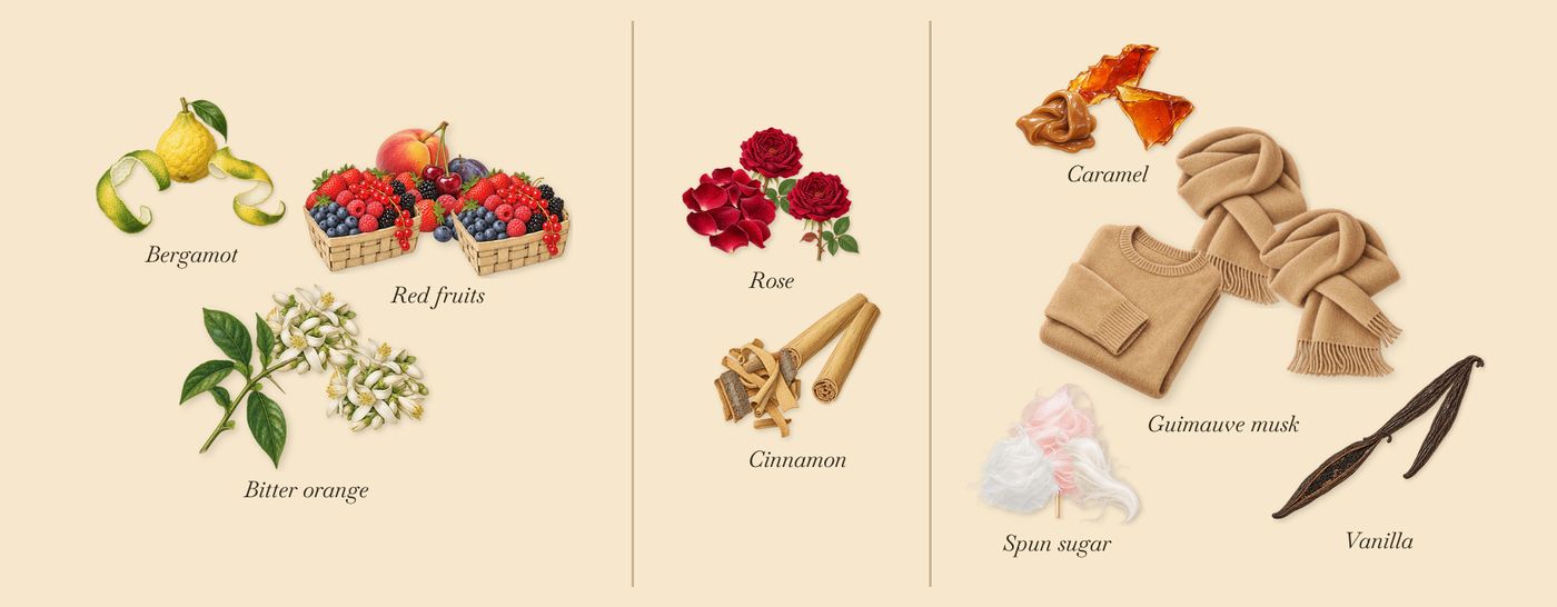 Sintra’s scent picture, a draft: bergamot, red fruits, bitter orange, cinnamon, rose, vanilla drawn so far; dashed outlines where nothing is drawn yet