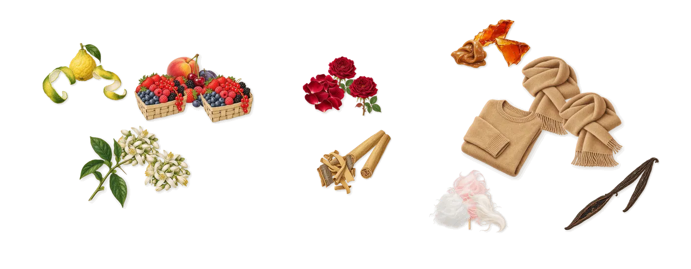 Sintra’s scent picture, a draft: bergamot, red fruits, bitter orange, cinnamon, rose, vanilla drawn so far; dashed outlines where nothing is drawn yet