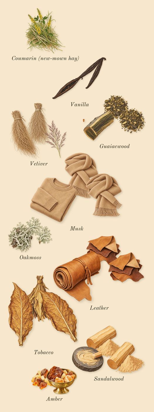 Memoir Man, dry-down: Sandalwood, Vetiver, Guaiacwood, Amber, Vanilla, Musk, Oakmoss, Leather, Tobacco, Coumarin (new-mown hay)
