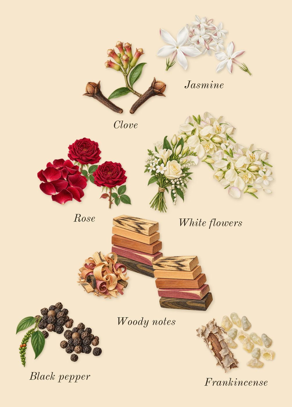 Memoir Woman, heart: Black pepper, Clove, White flowers, Rose, Jasmine, Woody notes, Frankincense