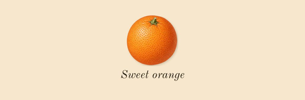 Baccarat Rouge 540, top notes: Sweet orange