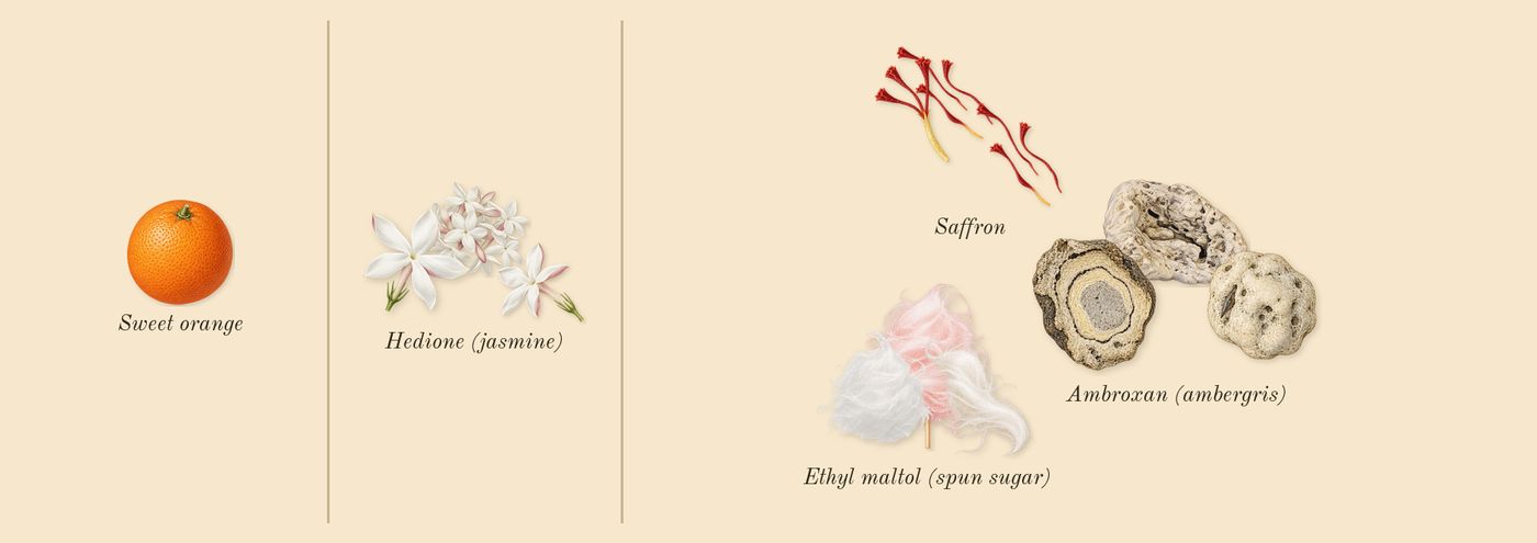 Baccarat Rouge 540’s scent picture, a draft: hedione (jasmine), ambroxan (ambergris), saffron, ethyl maltol (spun sugar), sweet orange drawn so far; dashed outlines where nothing is drawn yet
