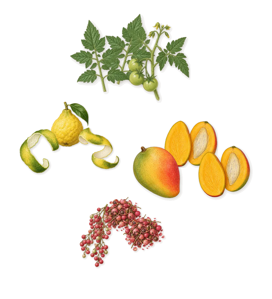 Blockade, when you spray it: Mango, Pink pepper, Tomato leaf, Bergamot