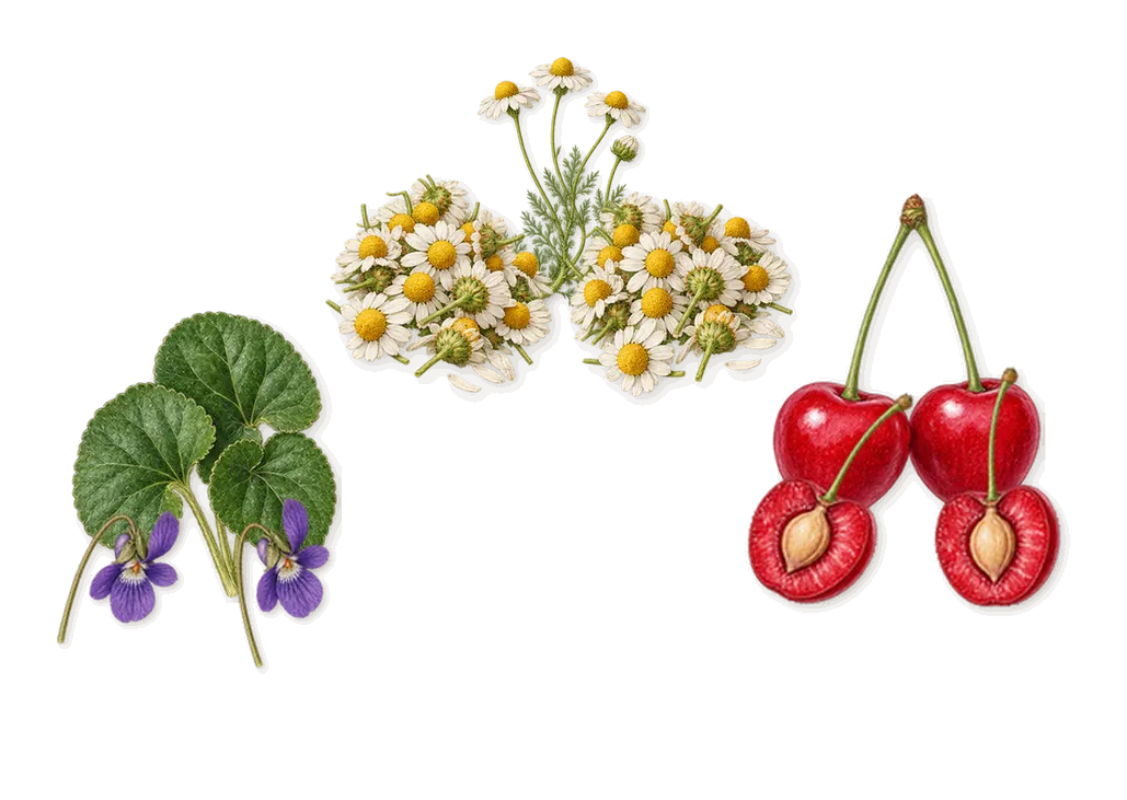 French Defense, when you spray it: Cherry, Violet, Chamomile