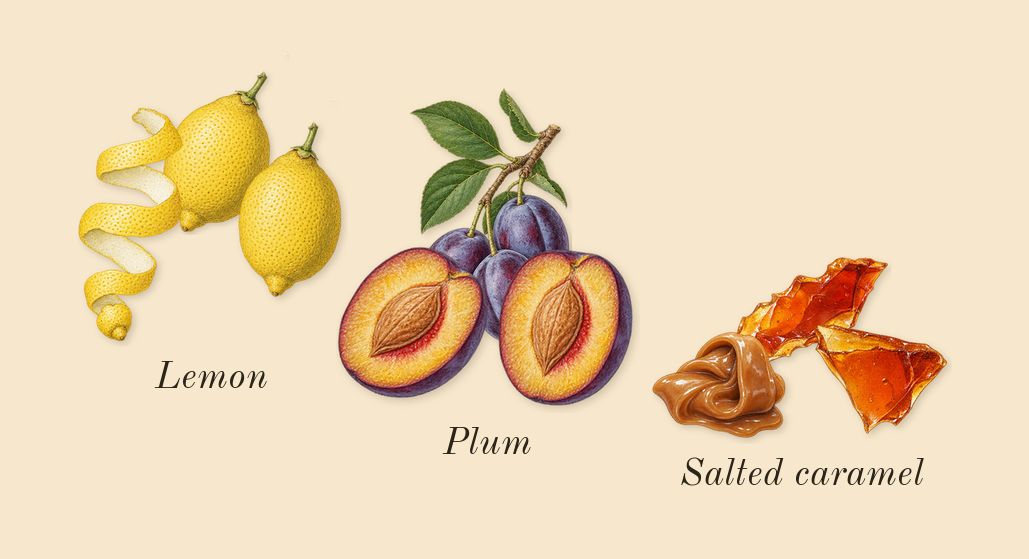 Mentor, top notes: Salted caramel, Lemon, Plum