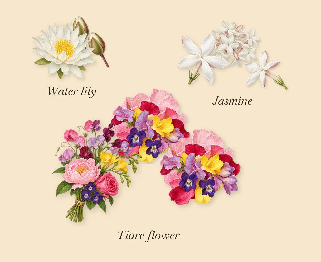 Playmate, as it settles: Water lily, Jasmine, Tiare flower