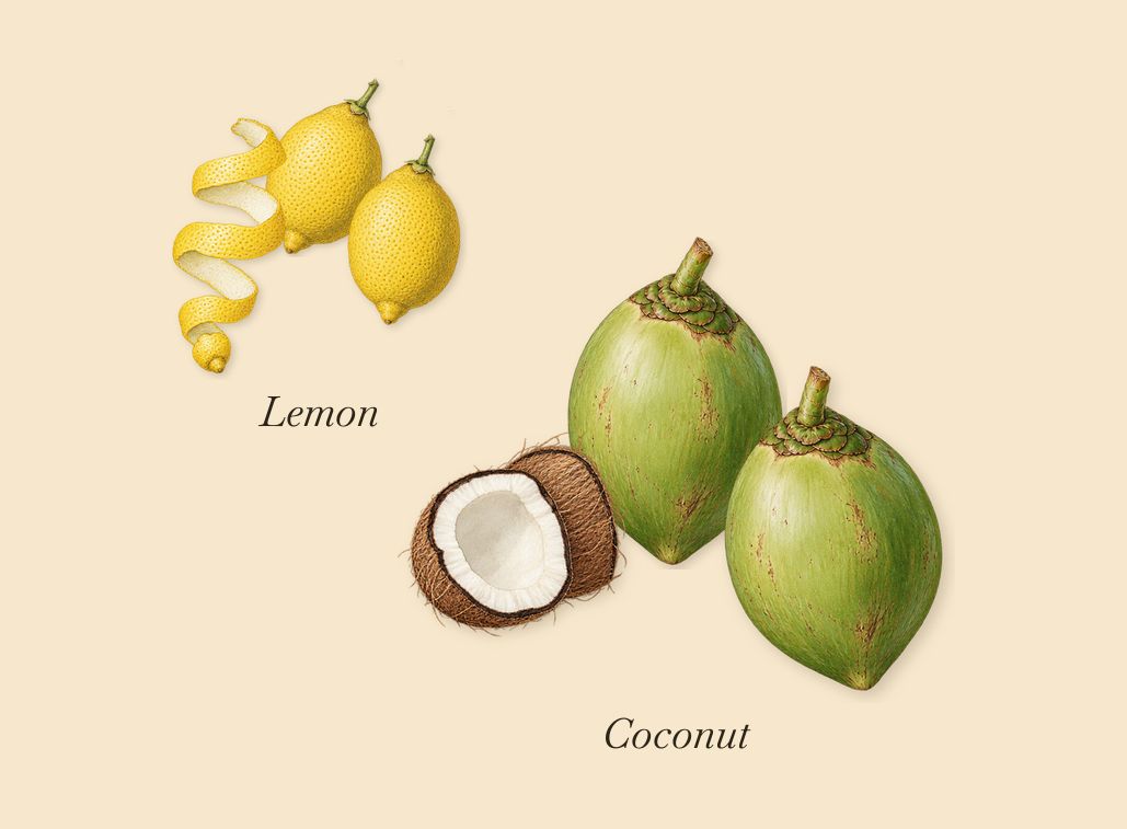 Playmate, when you spray it: Lemon, Coconut