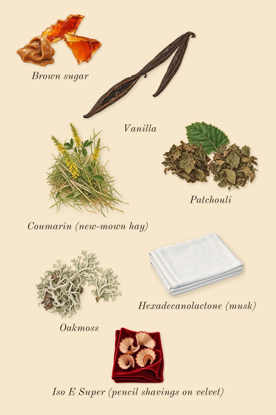 Miutine, dry-down: Brown sugar, Vanilla, Patchouli, Oakmoss, Iso E Super (pencil shavings on velvet), Coumarin (new-mown hay), Hexadecanolactone (musk)