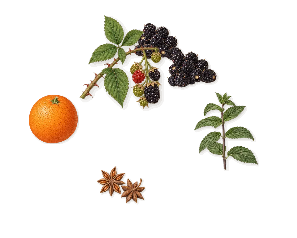 Miutine Intense, when you spray it: Blackberry, Sweet orange, Anethole (anise), Carvone (spearmint)
