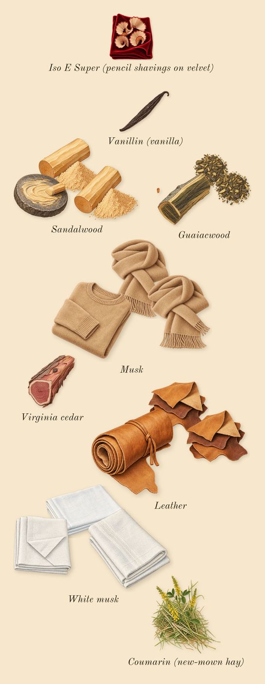 Black Aoud, dry-down: Leather, Guaiacwood, Sandalwood, White musk, Musk, Virginia cedar, Iso E Super (pencil shavings on velvet), Vanillin (vanilla), Coumarin (new-mown hay)