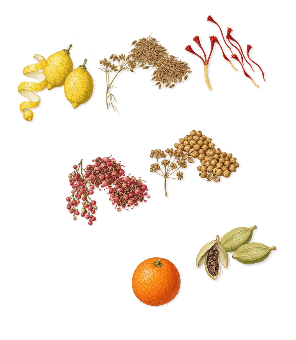 Dark Vanilla, when you spray it: Pink pepper, Saffron, Cumin, Cardamom, Lemon, Coriander, Sweet orange