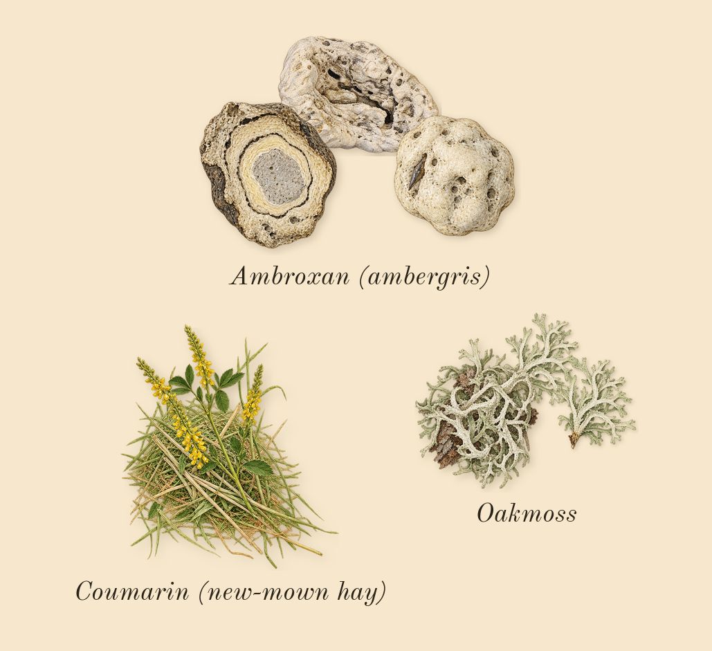 Legend Blue, dry-down: Ambroxan (ambergris), Oakmoss, Coumarin (new-mown hay)