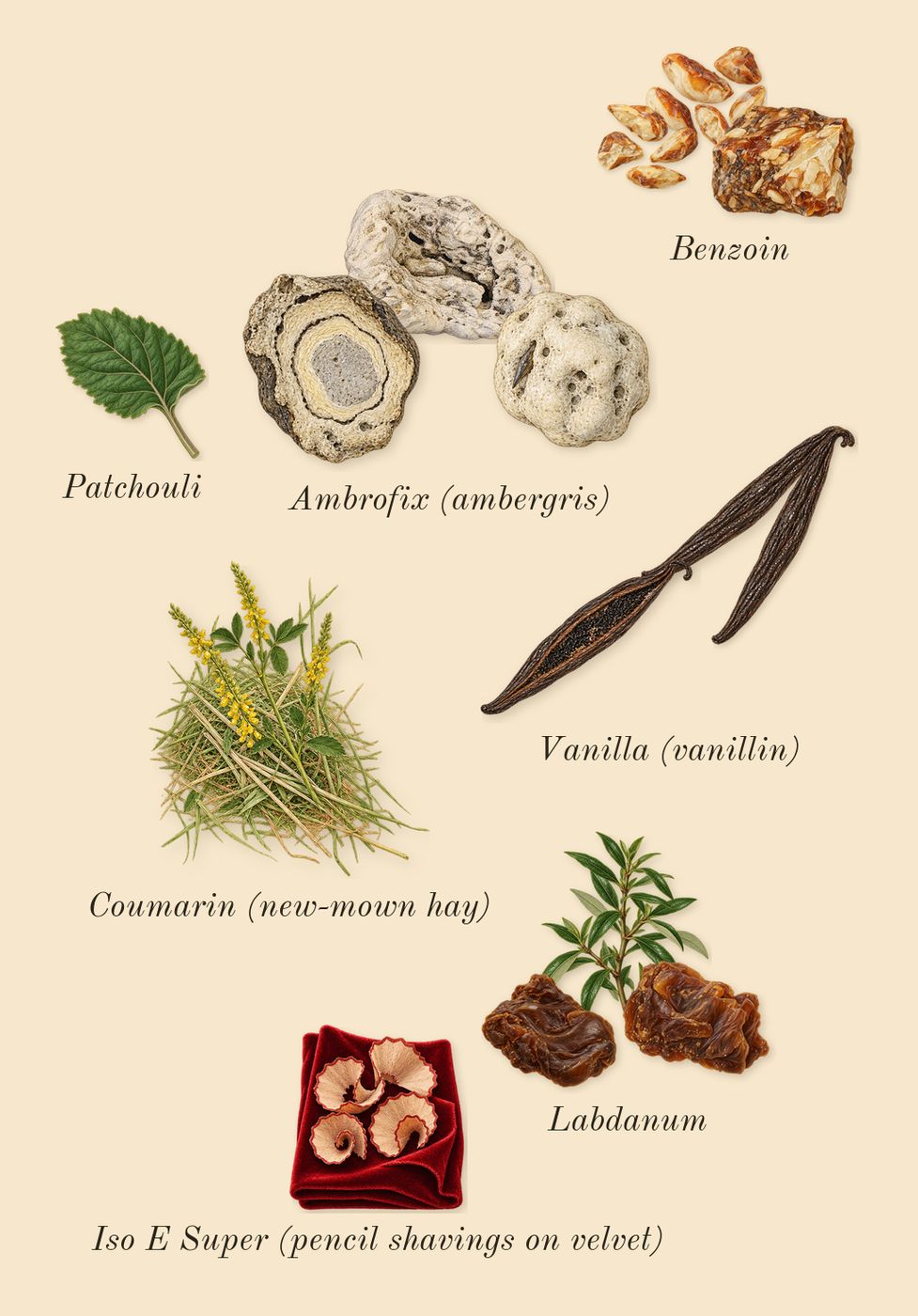 Legend Elixir, dry-down: Vanilla (vanillin), Ambrofix (ambergris), Labdanum, Benzoin, Patchouli, Iso E Super (pencil shavings on velvet), Coumarin (new-mown hay)