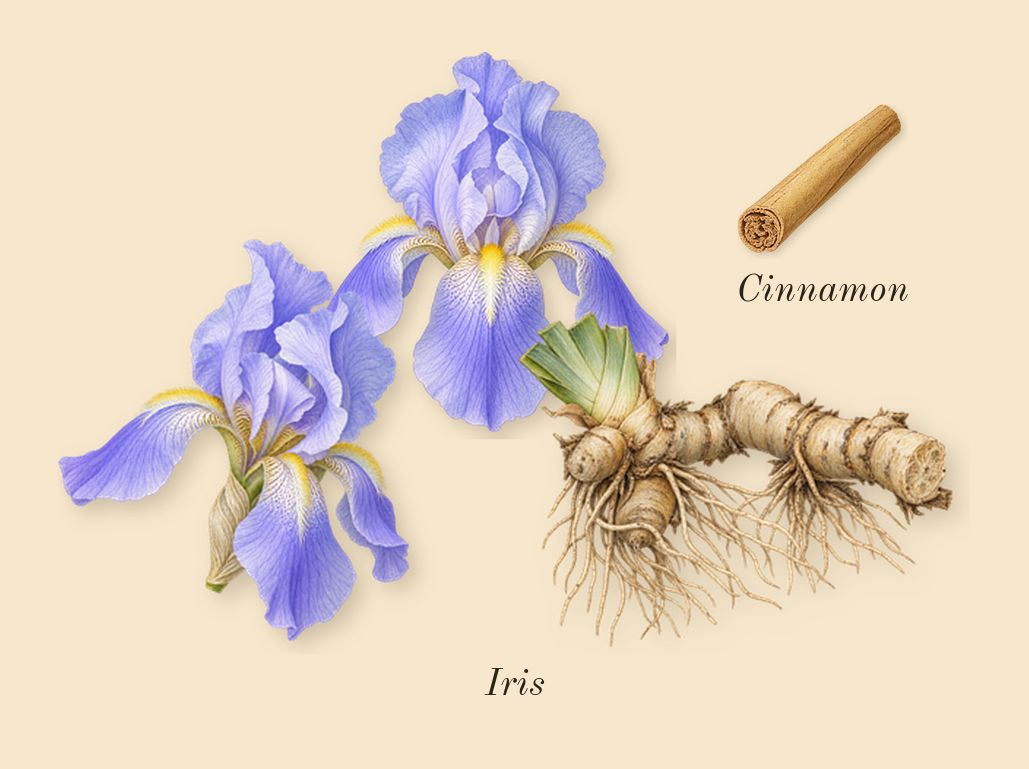 Legend Elixir, heart: Iris, Cinnamon