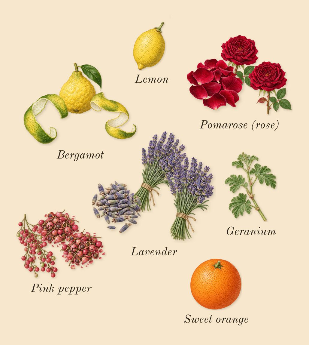 Legend Elixir, top notes: Lavender, Bergamot, Pink pepper, Pomarose (rose), Lemon, Sweet orange, Geranium