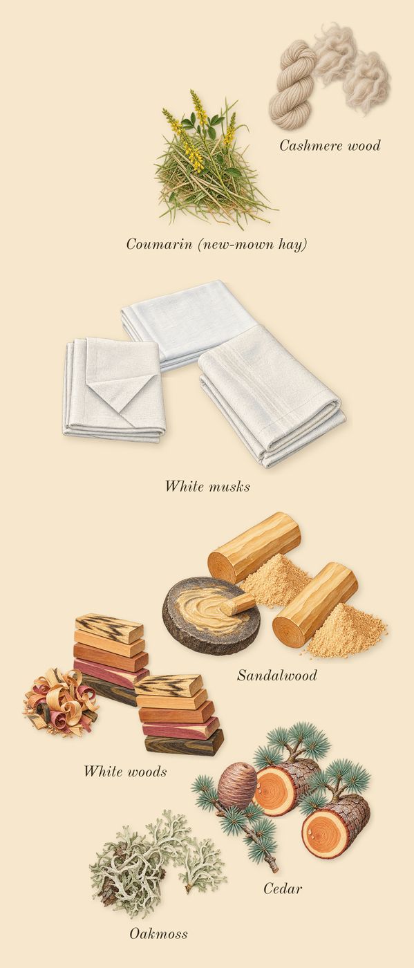 Legend Spirit, dry-down: White woods, Oakmoss, White musks, Sandalwood, Cedar, Cashmere wood, Coumarin (new-mown hay)