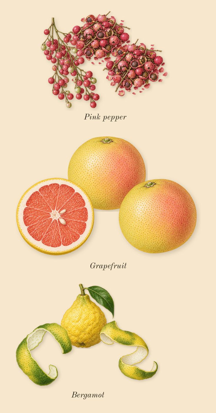 Legend Spirit, top notes: Pink pepper, Grapefruit, Bergamot