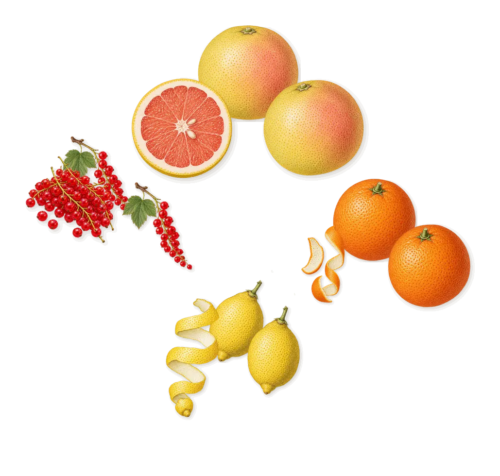I Love Love, when you spray it: Grapefruit, Sweet orange, Lemon, Redcurrant