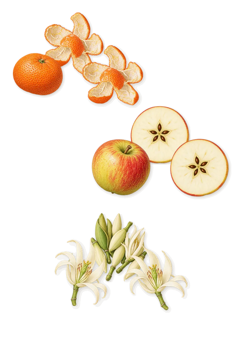 Toy 2, when you spray it: Magnolia, Apple, Mandarin