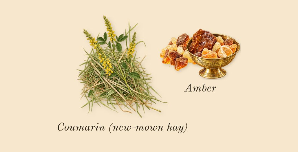 Alien, dry-down: Amber, Coumarin (new-mown hay)