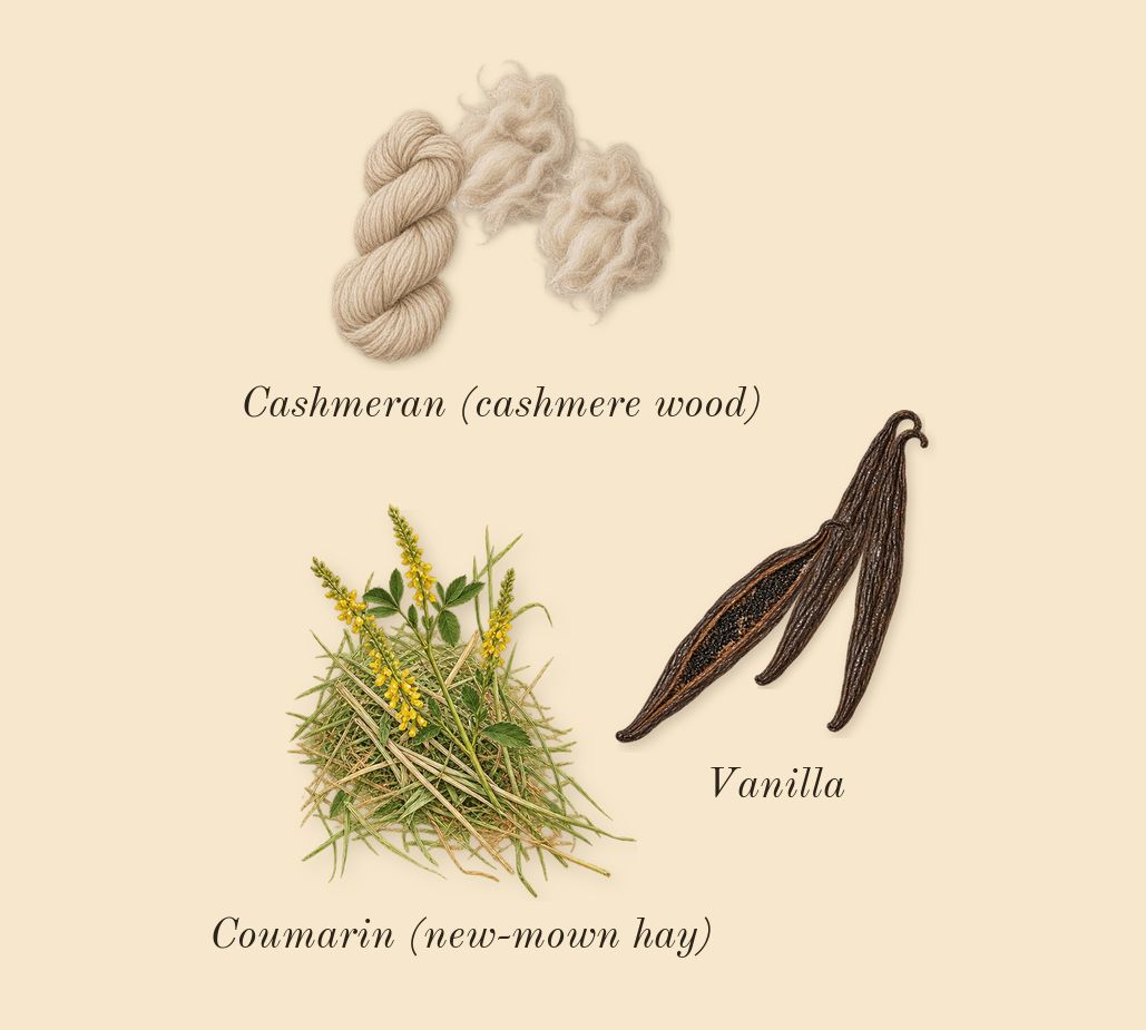 Alien Goddess, dry-down: Vanilla, Cashmeran (cashmere wood), Coumarin (new-mown hay)
