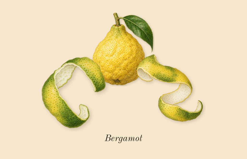 Alien Goddess, top notes: Bergamot