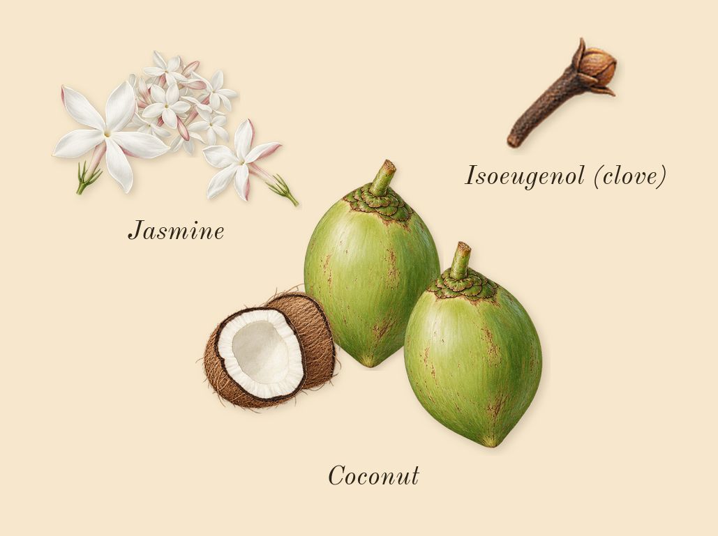 Alien Goddess Intense, heart: Jasmine, Coconut, Isoeugenol (clove)