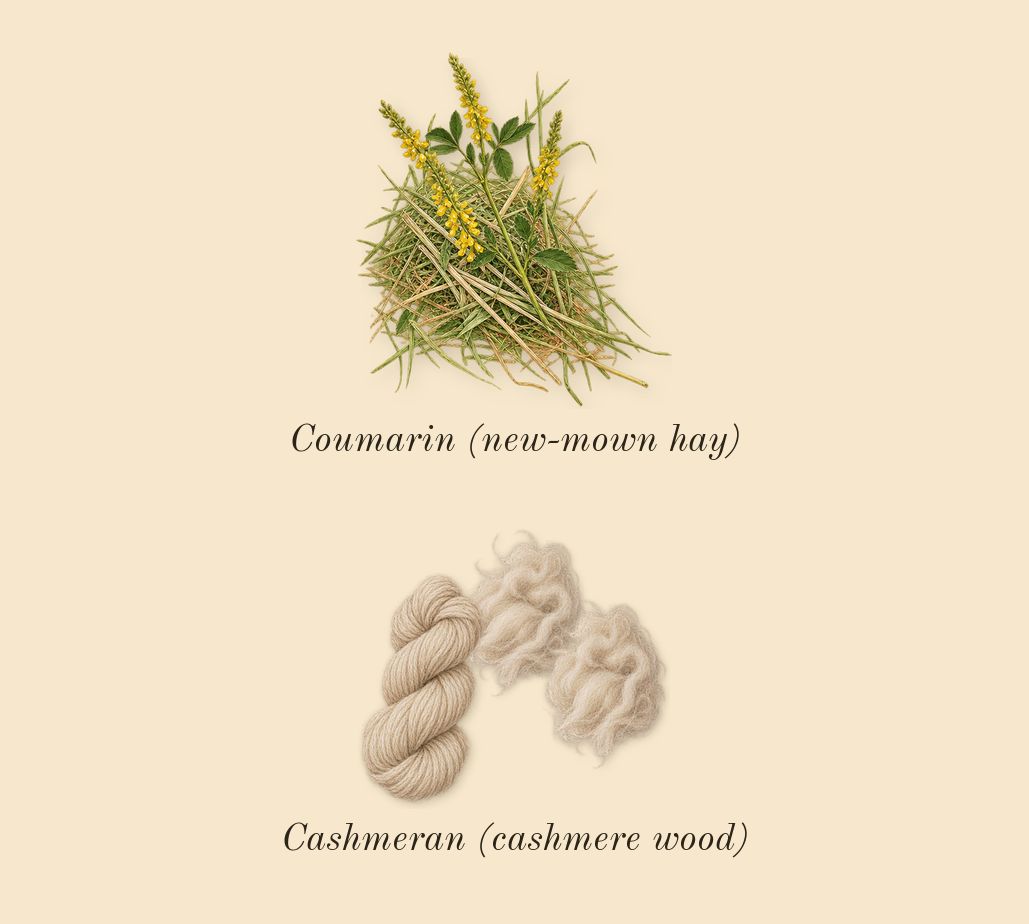 Alien Hypersense, dry-down: Cashmeran (cashmere wood), Coumarin (new-mown hay)