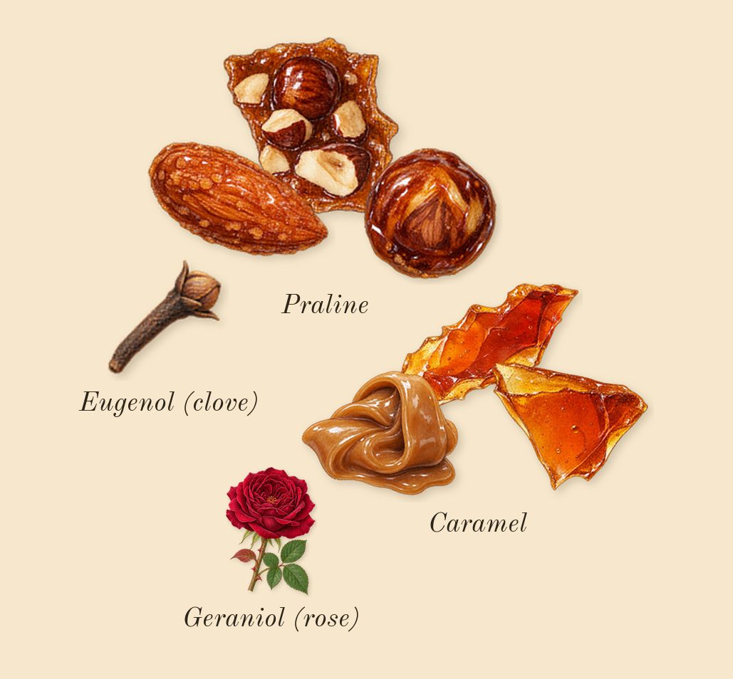 Angel, heart: Praline, Caramel, Geraniol (rose), Eugenol (clove)