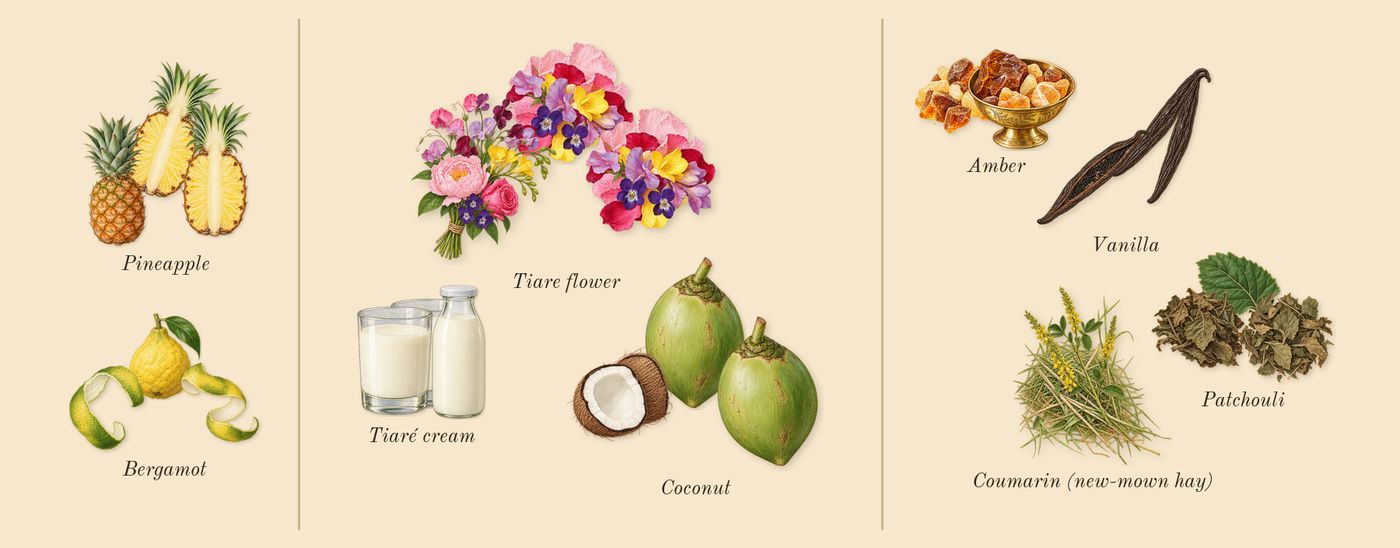 Angel Fantasm’s scent picture, a draft: pineapple, bergamot, coconut, tiare flower, patchouli, vanilla drawn so far; dashed outlines where nothing is drawn yet
