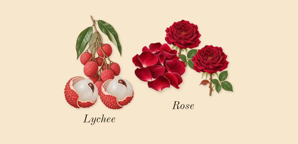 Angel Nova, heart: Rose, Lychee