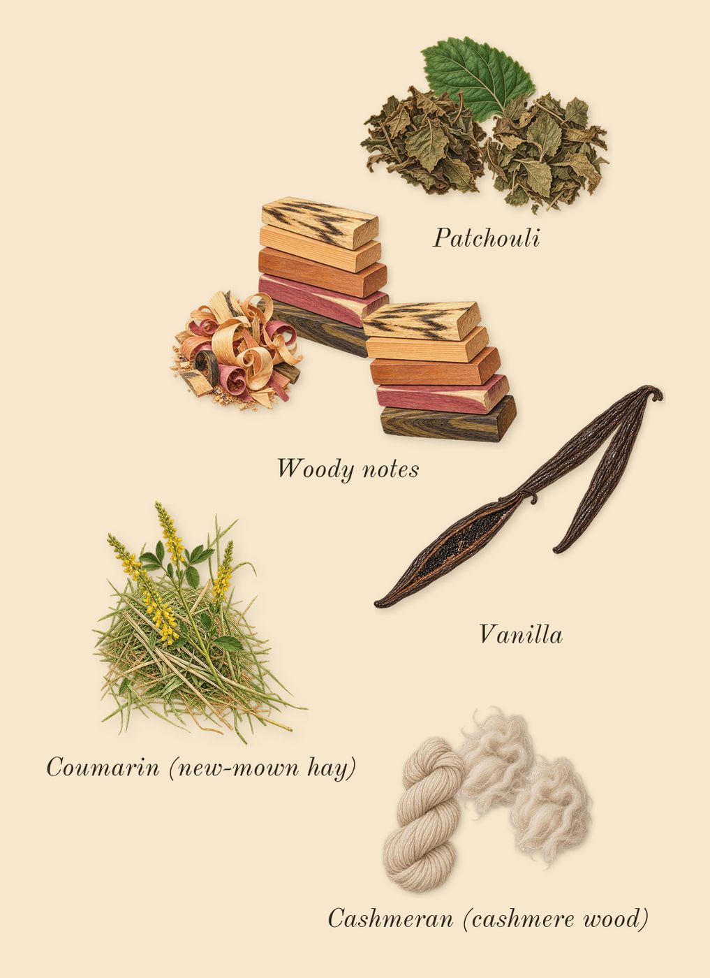 Angel Stellar, dry-down: Vanilla, Woody notes, Cashmeran (cashmere wood), Patchouli, Coumarin (new-mown hay)