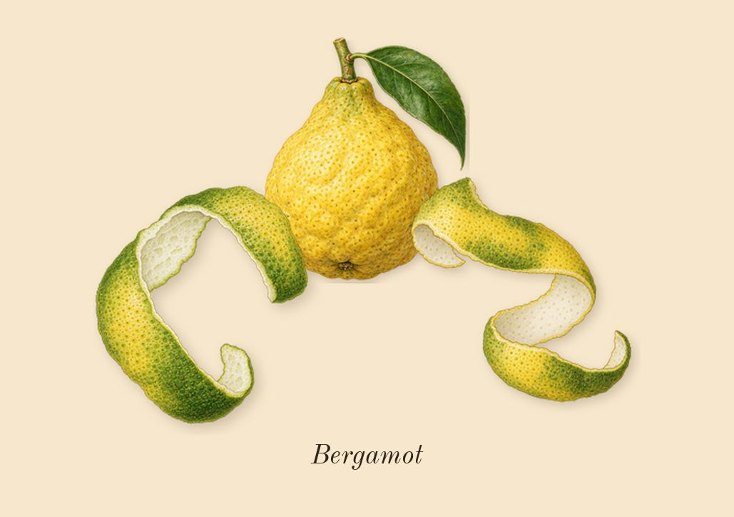 Angel Stellar, top notes: Bergamot