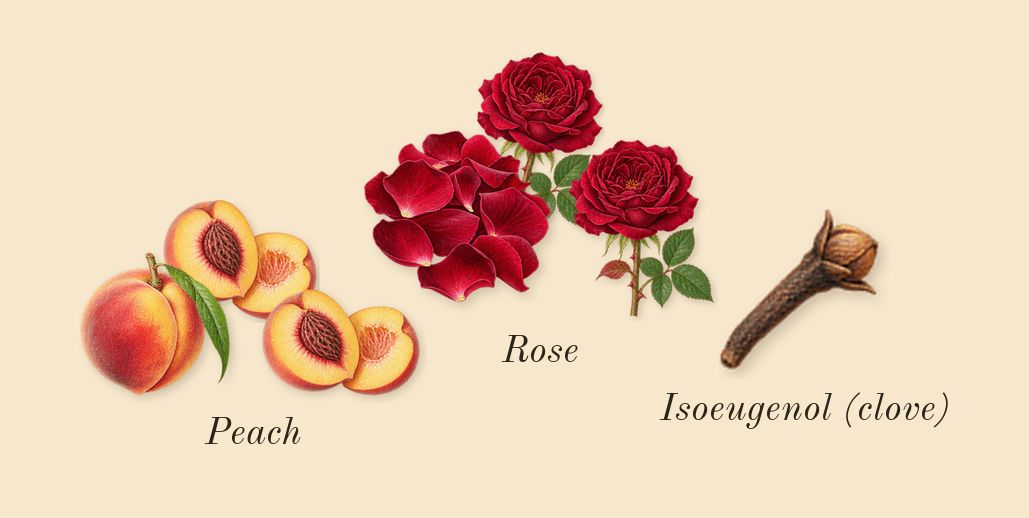 For Her, heart: Peach, Rose, Isoeugenol (clove)