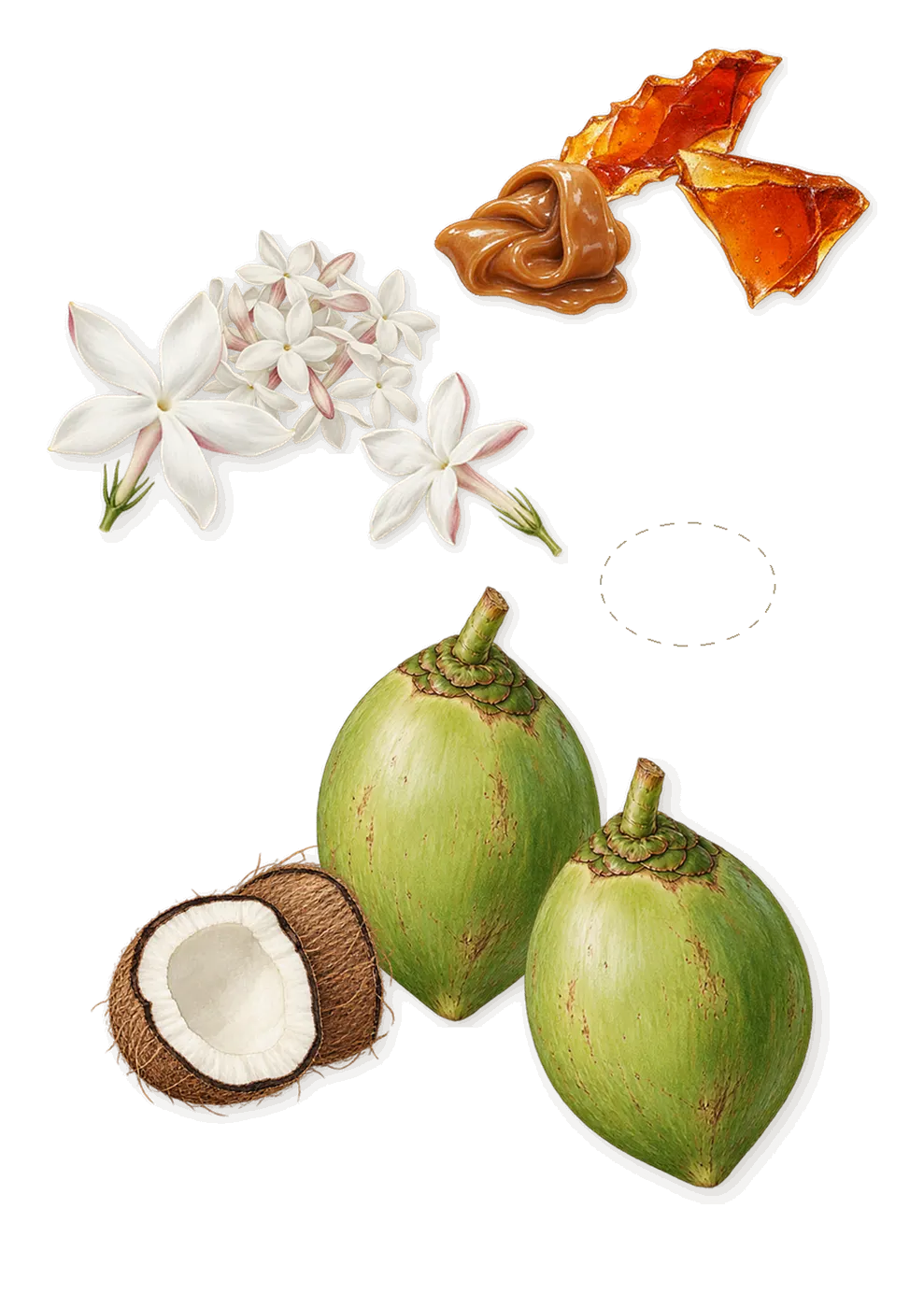Happy Dust, as it settles: Coconut, Matcha, Jasmine, Brown sugar