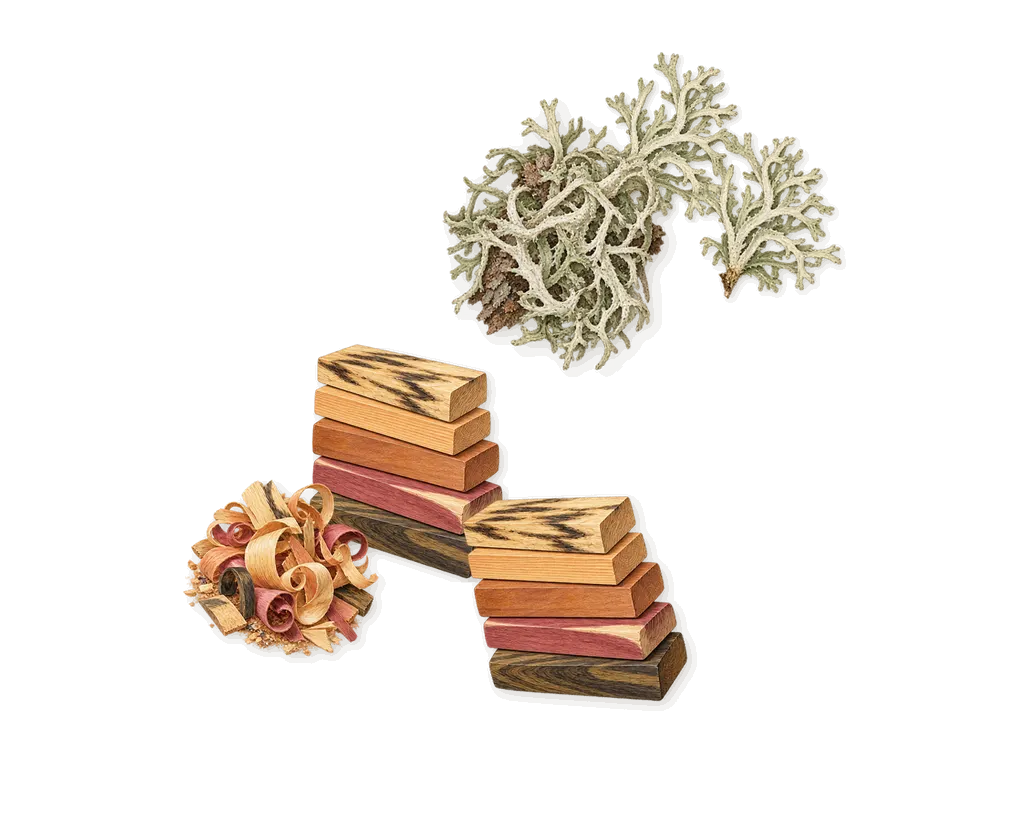 Voyage N-83, what stays: Oakmoss, Woody notes