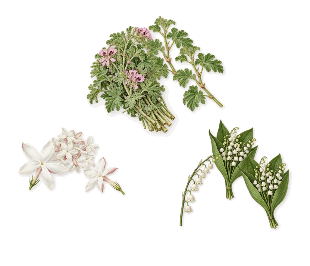 Sculpture Homme, as it settles: Jasmine, Lily of the valley, Geranium