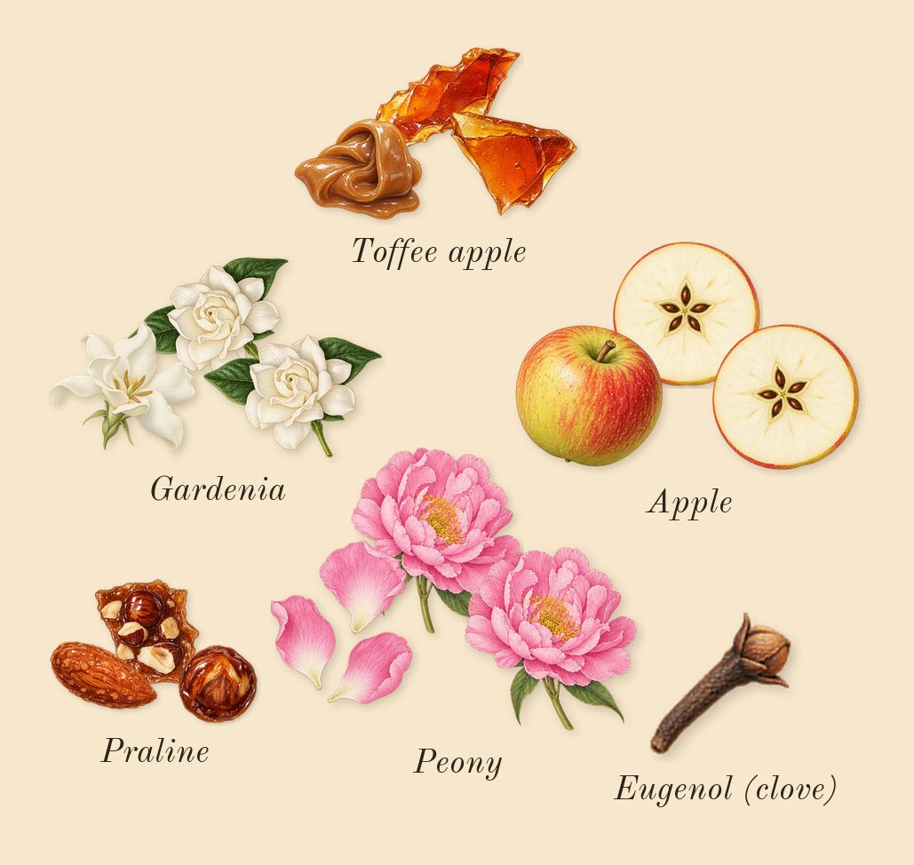Nina, heart: Gardenia, Toffee apple, Apple, Peony, Praline, Eugenol (clove)