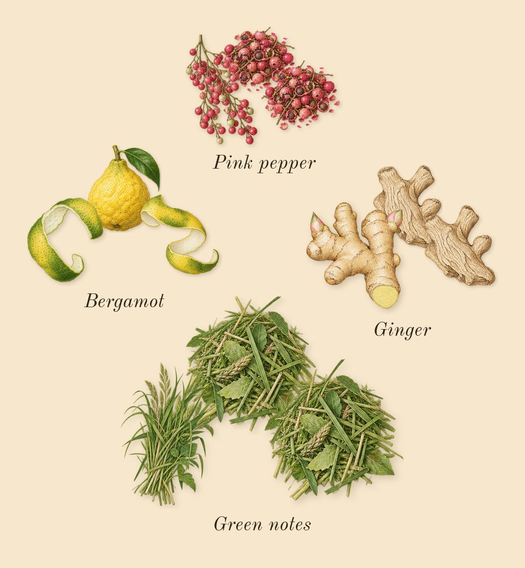 Ani, top notes: Bergamot, Green notes, Ginger, Pink pepper